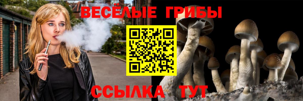 Псилоцибиновые грибы Cubensis Азов